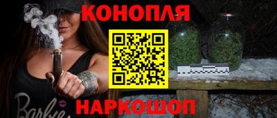 гашик Дубна