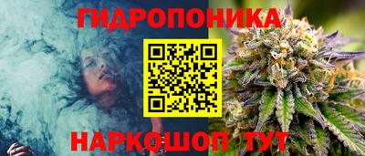 гашик Дубна