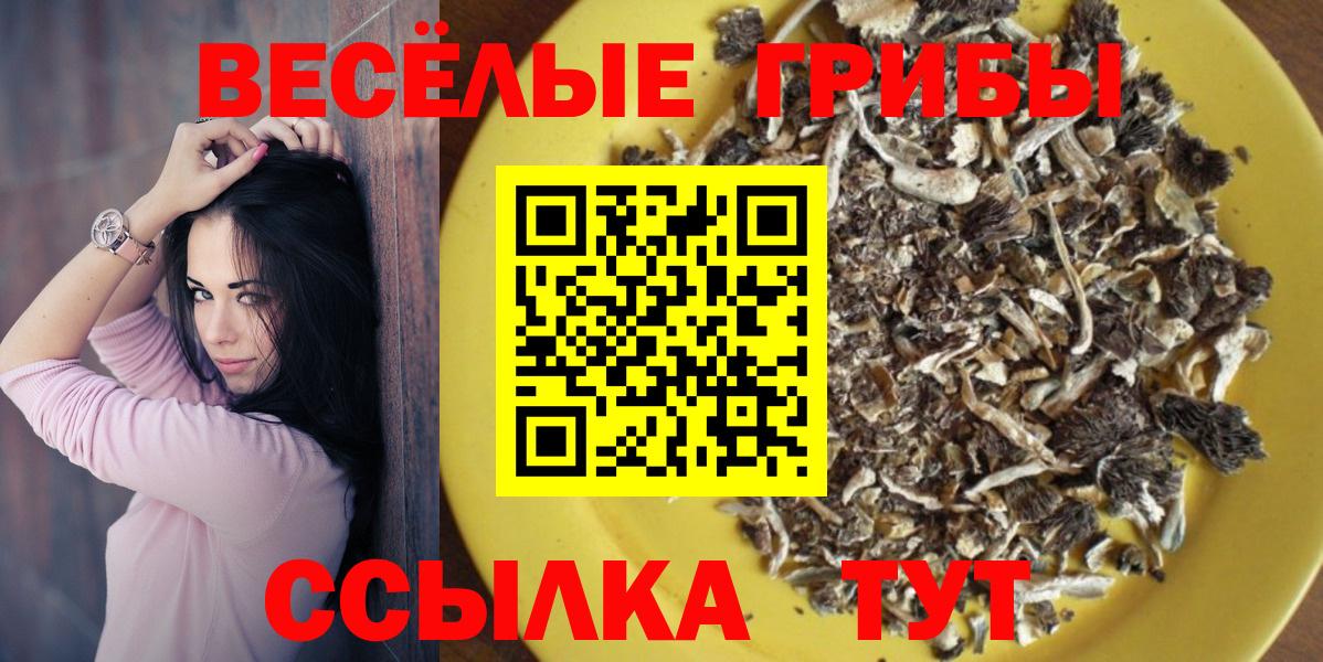 Галлюциногенные грибы мухоморы  Галлюциногенные грибы Psilocybe  Менделеевск  Вход с VPN 